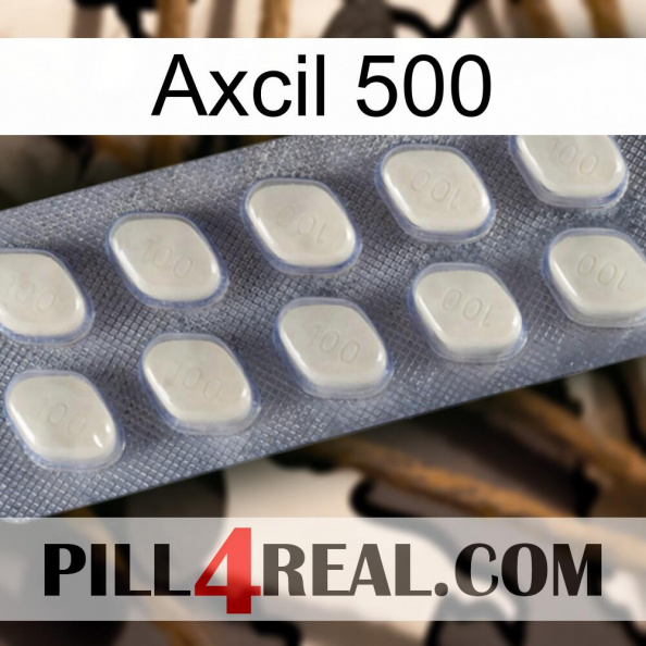 Axcil 500 08.jpg